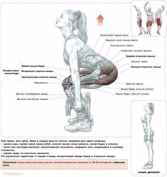  !    #@fitness.blog - 3