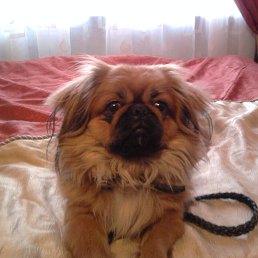 ���� ������, �����, 53 ���� - ��������� 31 ������� 2015