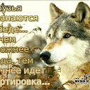  ,   -  16  2015    