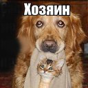 ���� ���������, ������ - ��������� 24 ������� 2016 � ������ ������ ��������