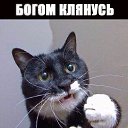 ���� �����, ������ - ��������� 26 ������ 2015 � ������ ���� ����������