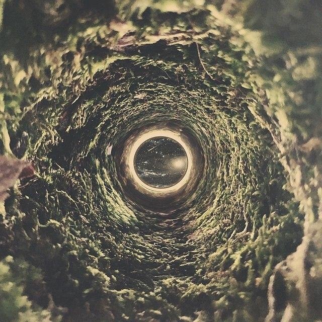     ,  .      ,   . - 5