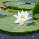 ���� Uriko�����, ����������� - ��������� 24 ������� 2016