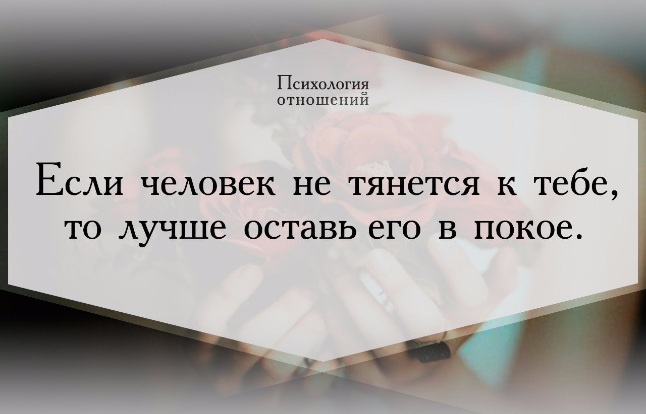 Тянет к человеку что это значит. Если человек к тебе не тянется цитата. Хорошее тянется к хорошему цитаты. Если человек тянется к тебе. Если ты человеку безразличен.