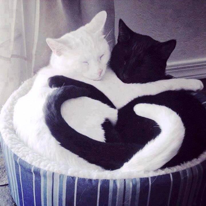       :-)))