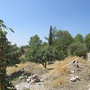 ���� �����, �������, 66 ��� - ��������� 10 ������� 2015 � ������ ���� ����������