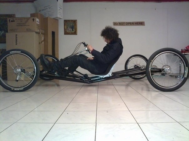 ���� ������ ������