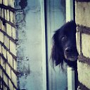 ���� �����, ������, 22 ���� - ��������� 31 ������� 2015 � ������ ���� ����������