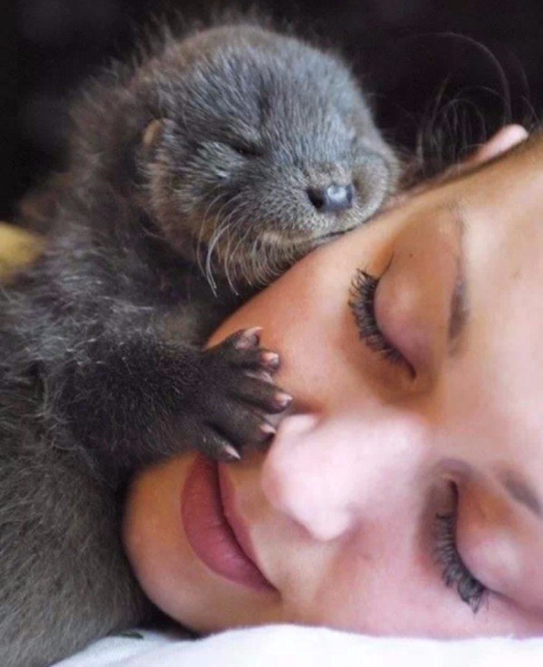  ,       .#animal@travel.blog - 3