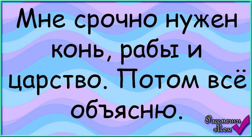 Потом объясню. Срочно нужен конь рабы и царство. Мне нужен раб. Мне срочно нужен рабы и царство. Мне срочно нужен конь рабы и царство потом всё объясню.