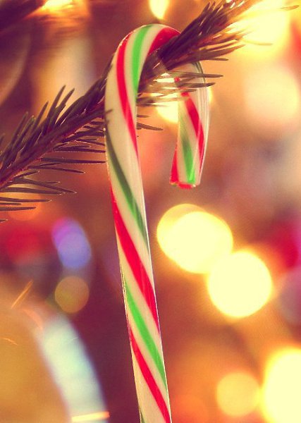   - 24  2015  07:31 - 3