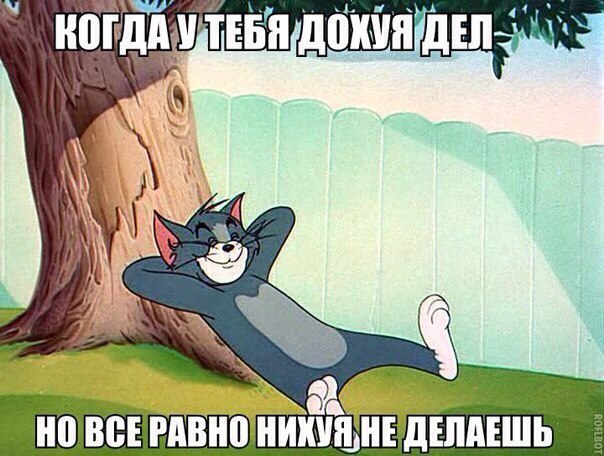  - 14  2016  15:50