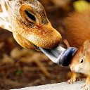 ���� ����, �������, 47 ��� - ��������� 10 ������� 2015 � ������ ������ ��������