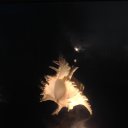���� �����, ���������, 56 ��� - ��������� 29 ������� 2015 � ������ ��������. ������. �����.�