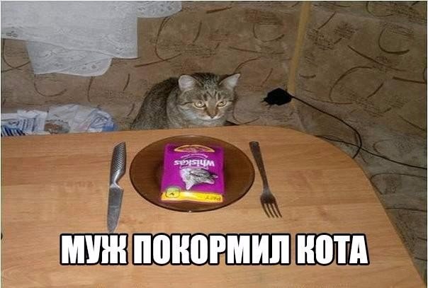 ������������ - 26 ������ 2016 � 10:30