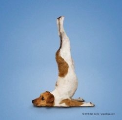  | Yoga - 1  2016  21:36