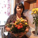 ���� ��������, ������������ - ��������� 22 ������ 2015 � ������ ���� ����������