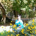 ���� ����, ������, 49 ��� - ��������� 30 �������� 2015