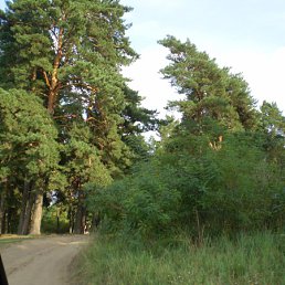 ���� ����, �������, 57 ��� - ��������� 11 ������ 2015