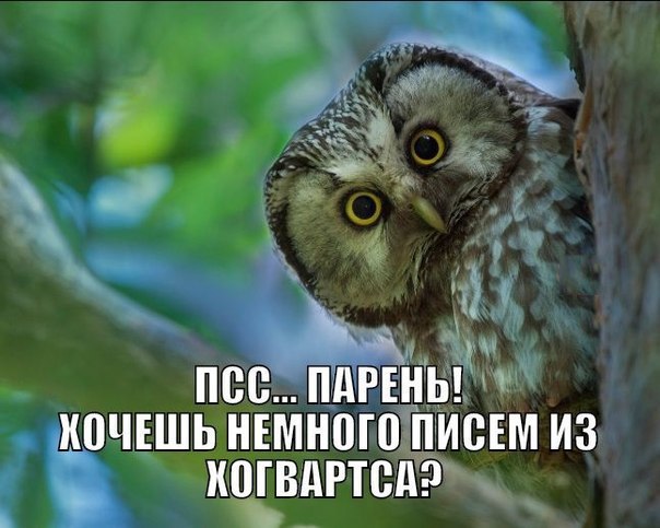 ☆   ☆ - 29  2015  01:11