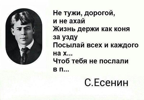  - 6  2015  19:31