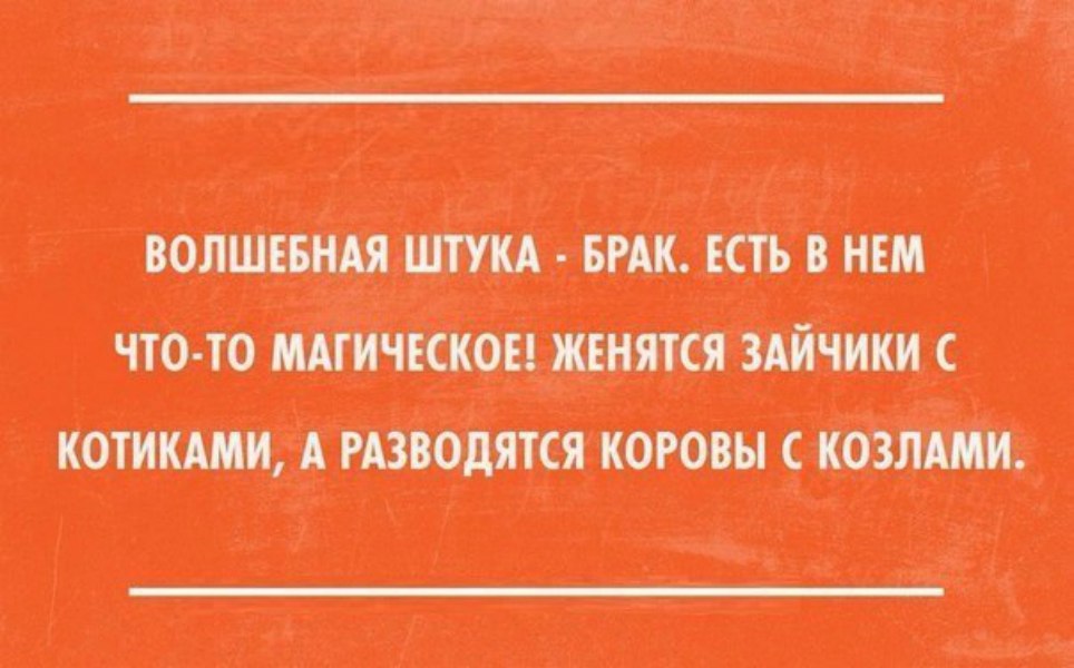 Утро красит нежным светом лица заспанных прохожих картинка прикольная