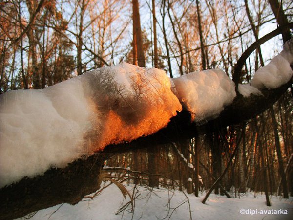 dipi-avatarka - 17  2016  11:15