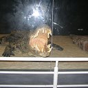 ���� �������, ���, 62 ���� - ��������� 15 ������� 2015 � ������ ��������