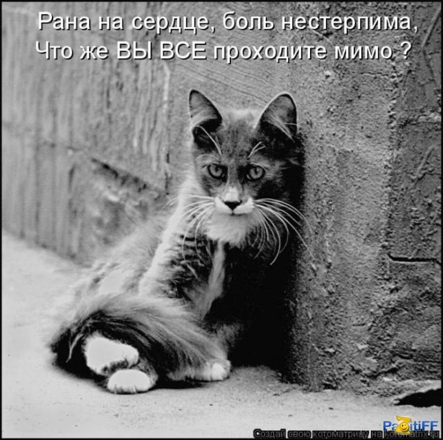   - 3  2016  19:04
