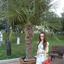 ���� �����, ������ - ��������� 26 ������ 2015 � ������ ���� ����������