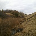 ���� �����, �������, 55 ��� - ��������� 12 ������ 2016 � ������ ������ ��������