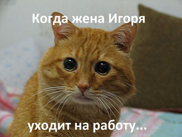 Жена подслушала в автобусе: Девушка говорит по телефону. Следует такая фраза: