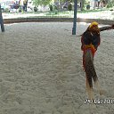 ���� Viktor, ������ - ��������� 20 ������� 2016 � ������ ������ ��������