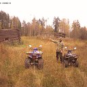 ���� ������, ����������-���������, 44 ���� - ��������� 31 ������� 2015 � ������ ����������