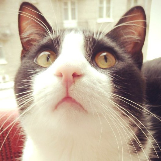  -  - 11  2016  05:22