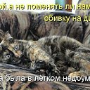 ��� ����� ����. ������� 2015�. �� ������� ���� ����������