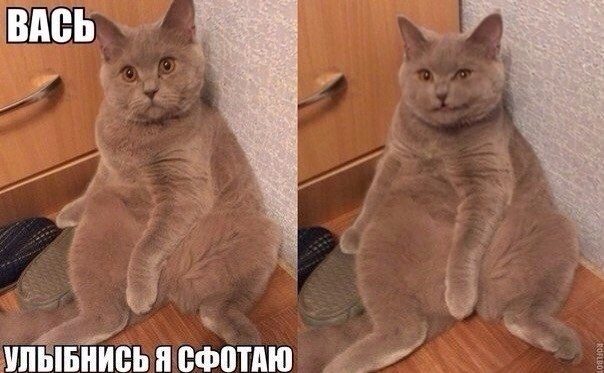       - 13  2015  11:30