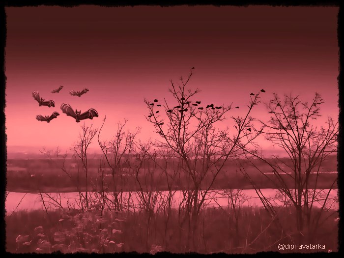 dipi-avatarka - 25 октября 2015 в 18:52