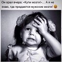 ���� ����, ��������� - ��������� 8 ������ 2015 � ������ ������ ��������