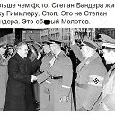 ���� Vladimip, �����������, 59 ��� - ��������� 27 ������� 2015 � ������ ������ ��������