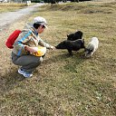  , , 60  -  5  2016     2015