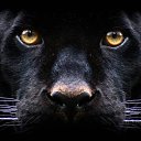 ���� �����, ������, 56 ��� - ��������� 23 ������ 2016 � ������ ���� ����������