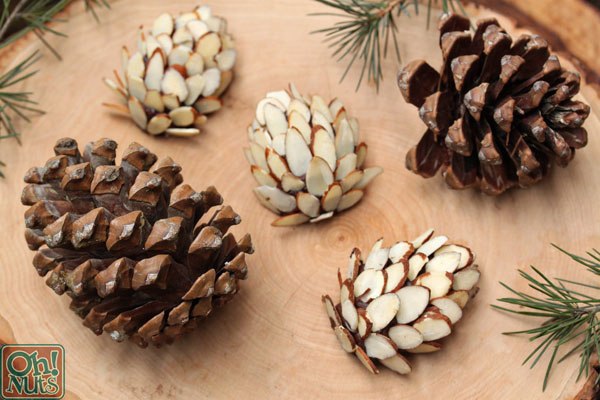 Шиiки сладости. Шоколадные шишки. Пирожное шишечки. Шишка шоколадная абаканские сладости. Пирожное еловые шишки.