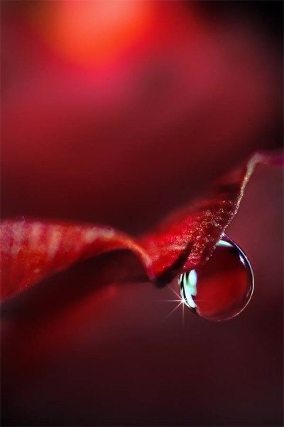 Если вы любите, а вас нет — отпустите. Если вас любят, а вы нет — оцените и присмотритесь. Если ...