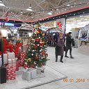 ���� ����, �����������, 71 ��� - ��������� 10 ������ 2016 � ������ ���� ����������