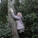 ���� ��������, ������ �����, 55 ��� - ��������� 25 ������� 2015 � ������ ���� ����������