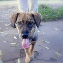 ������������ � ��. � ������ ���� �������� ������������� ����� ���� (������). ����� �������� 5 �������. ������� ����� �� �������, ����������� ������� �������, ��������������. ������ � ��������, ����� �������� ����� � ��������. ��������������, ������. ������� ��� ����� 89057468267 �� ������� ���� ����������