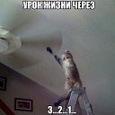���� ���������, ������������, 41 ��� - ��������� 15 ������� 2016 � ������ ������ ��������
