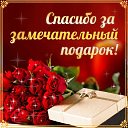  Rose,  -  27  2015    