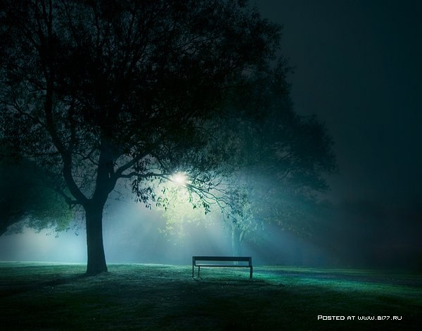 A l o n e -  Mikko Lagerstedt